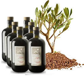 product_image_YoungTree